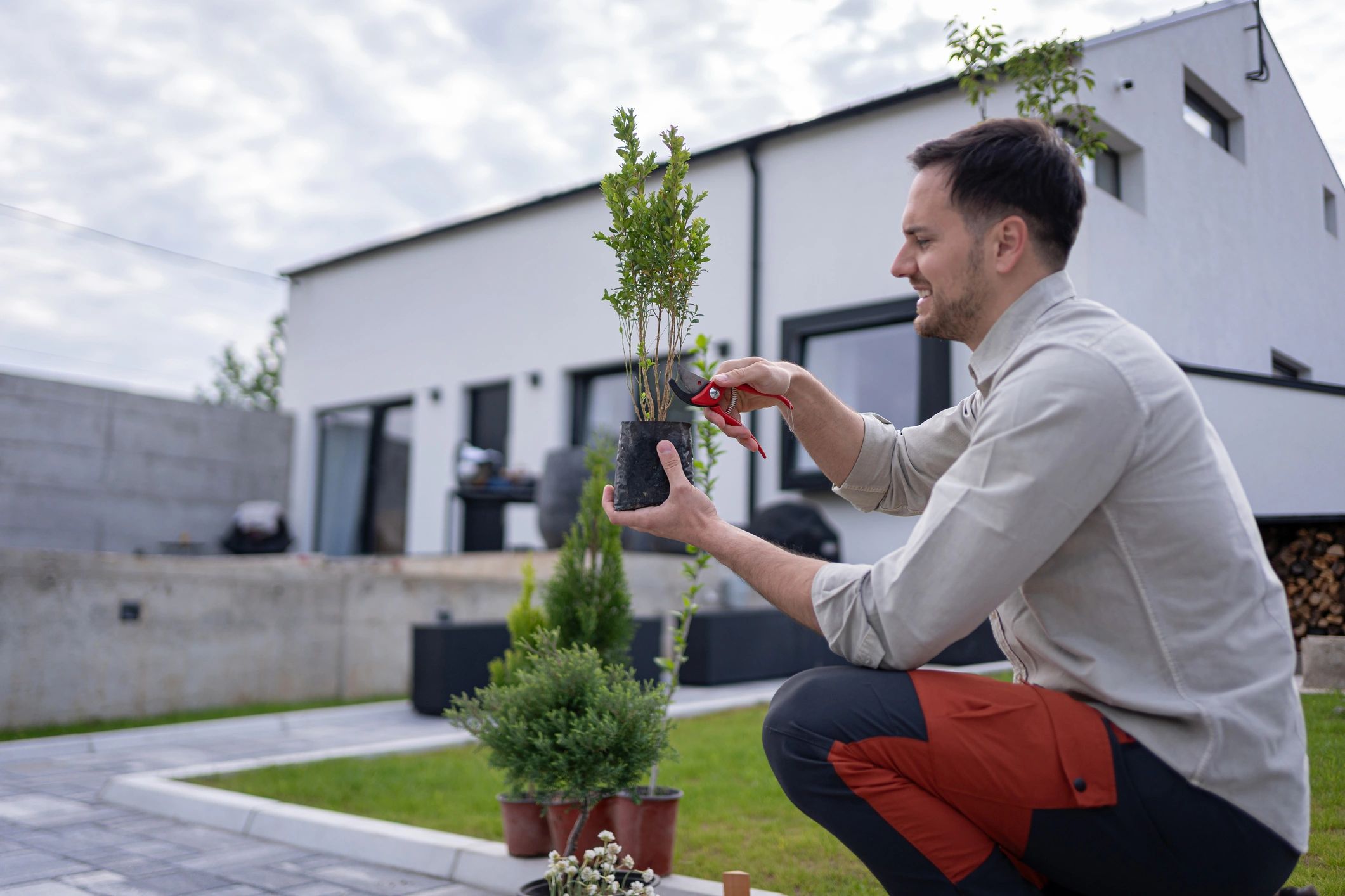 Professional gardener pruning a potted hedge with clippers