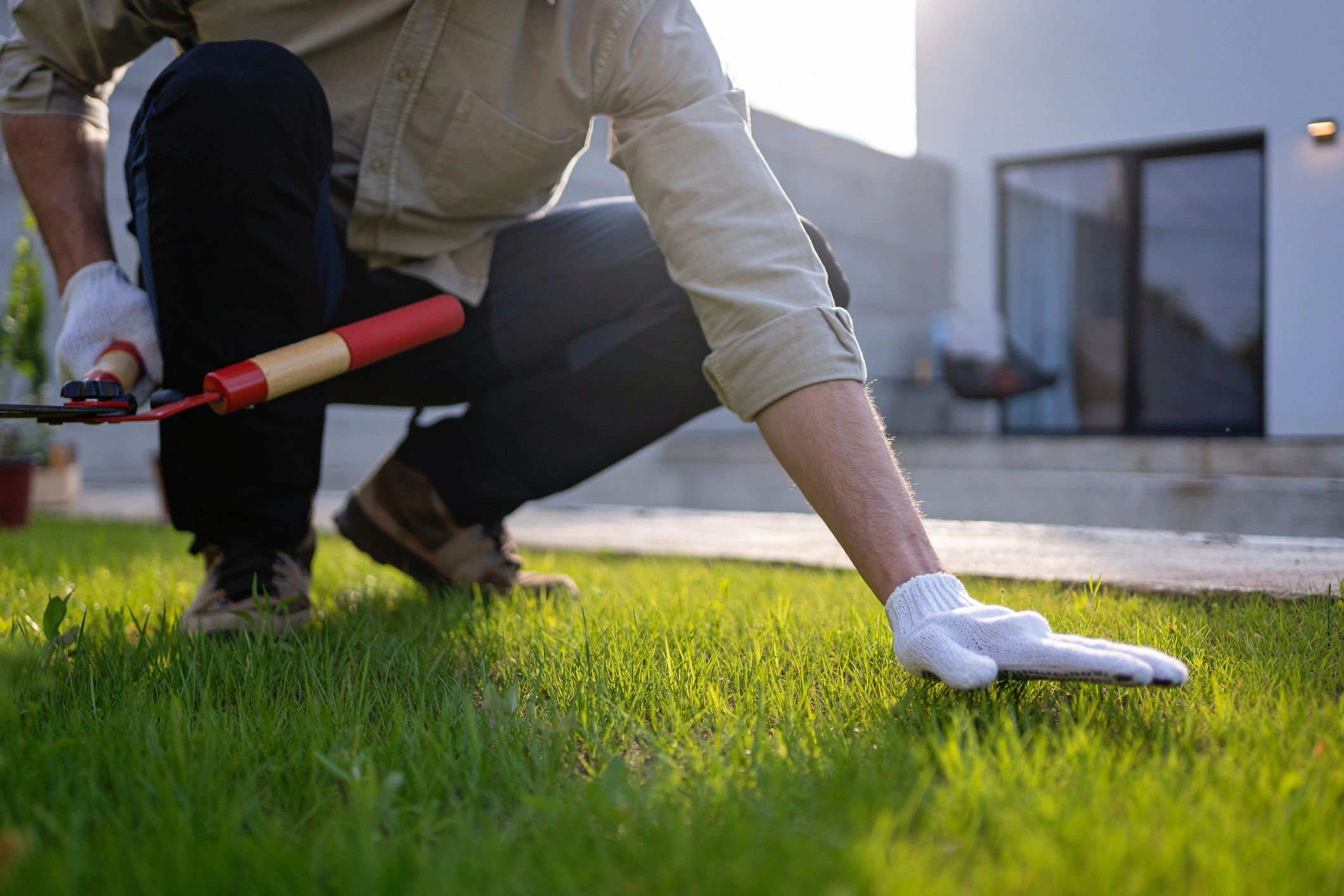 Close-up of a gardener using pruning shears during garden maintenance